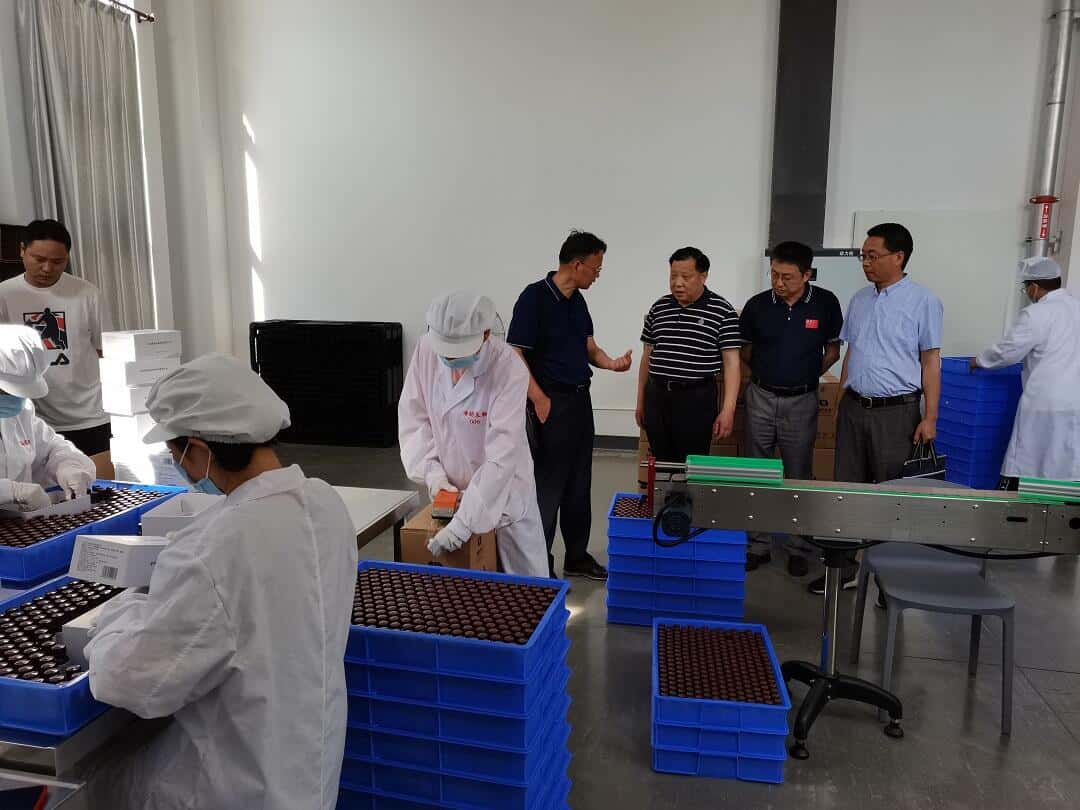 宣城市市場監督局副局長孫光華一行蒞臨考察海昭生物